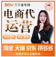 淘宝天猫京东拼多多代运营京东淘宝网店运营店铺代运营整店托管