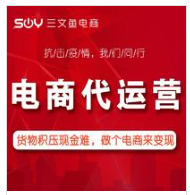 淘宝天猫阿里巴巴京东拼多多电商网店店铺代运营推广抖音代运营